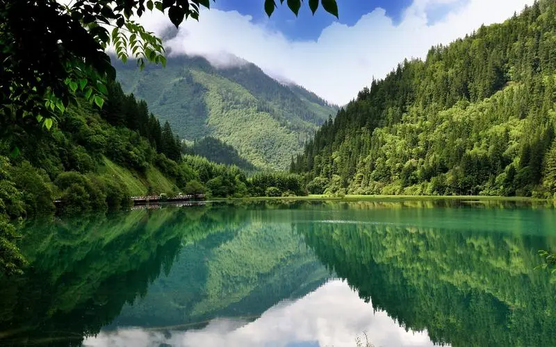 智能系统数字化数字化